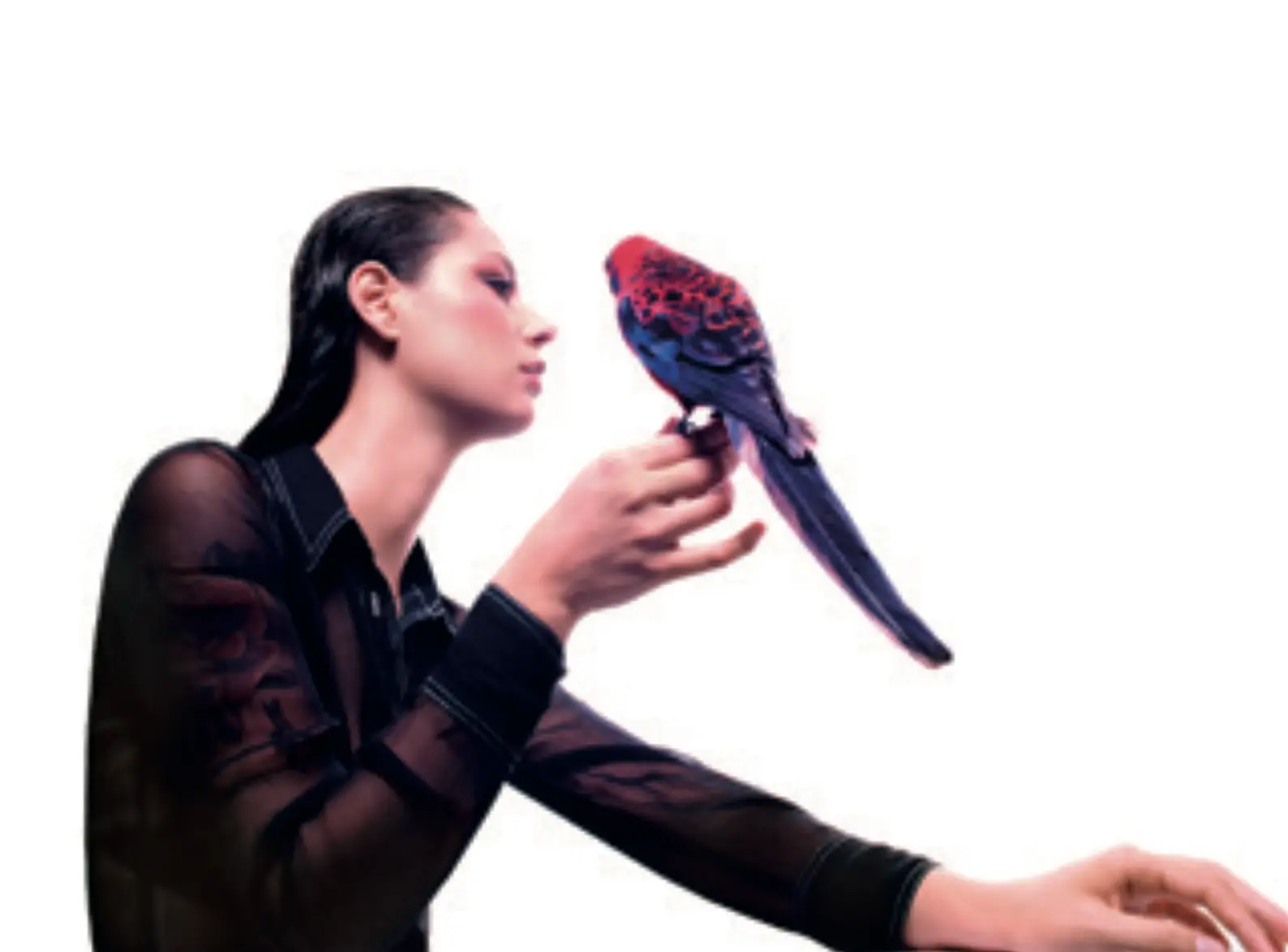 Album of the month: Storm Queen by Grace Cummings